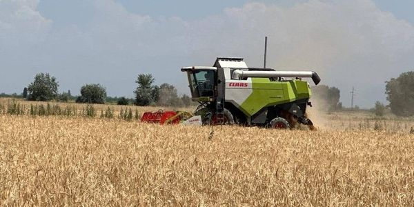 Первые комбайны на уборке зерновых в Ысык-Атинском районе