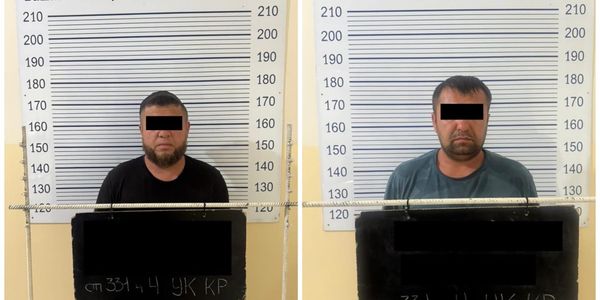 Попытка вывезти 229 животных: в Араванском районе накрыли схему контрабанды скота изображение публикации