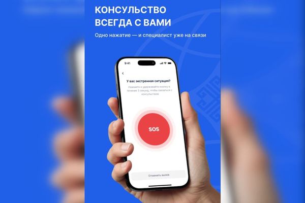 «Электронный консул» в телефоне: МИД запустил приложение с функцией SOS для граждан за рубежом изображение публикации
