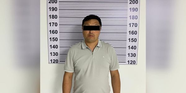 ГКНБ выявил коррупционную схему в лесном хозяйстве Таласской области изображение публикации