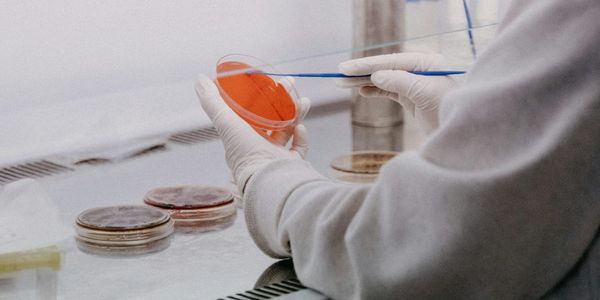 Научные исследования и финансовая самостоятельность научных организаций Кыргызстана