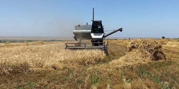 По 42 центнера с гектара: в Кадамжае собирают первый урожай ячменя