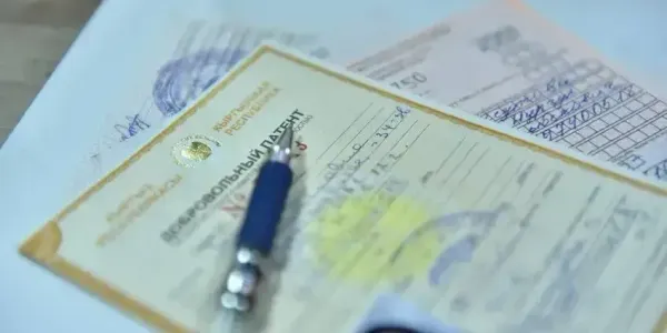 Как приграничным мигрантам оформить патент онлайн — гайд ГНС изображение публикации