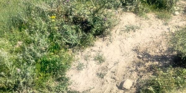 В Баткенской области выявили незаконное строительство на пастбищной земле изображение публикации