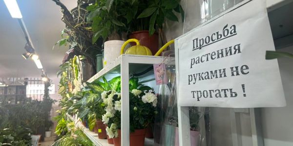 В агроаптеках и цветочных магазинах Каракола выявлены нарушения требований закона изображение публикации