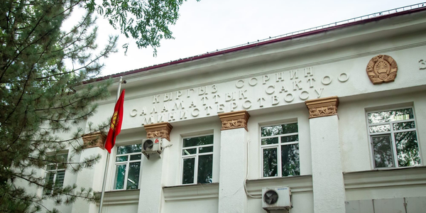 Счетная палата проверила бюджет Минздрава: три дела передадут силовикам изображение публикации