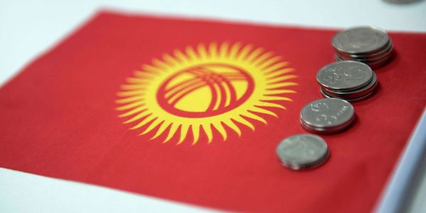 Куда пойдут деньги за IMEI и проезд большегрузов: кабмин определил получателей спецплатежей изображение публикации