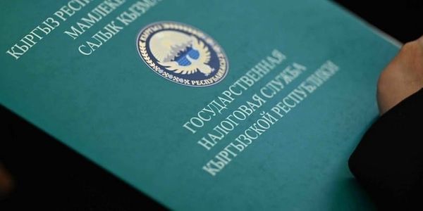 Налоговую регистрацию резидентов ПВТ и ПКИ автоматизировали изображение публикации