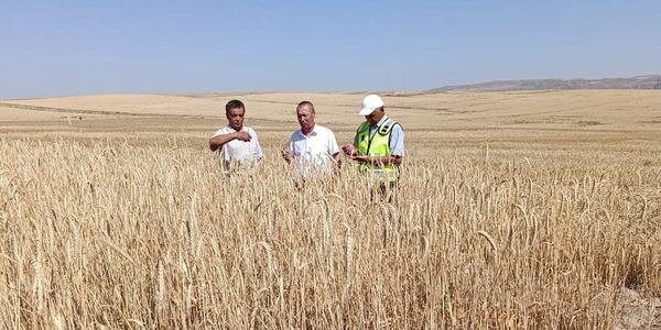 Минсельхоз проверил качество семян в Баткенской области изображение публикации