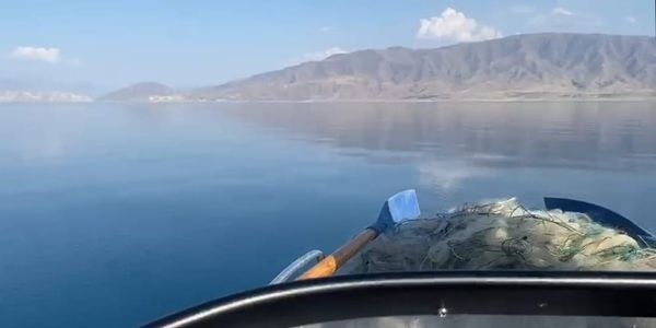 На Токтогульском водохранилище изъяли 300 метров браконьерских сетей изображение публикации