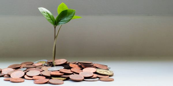 Финансовый сектор Кыргызстана заработал 22.6 млрд сомов чистой прибыли за полугодие изображение публикации