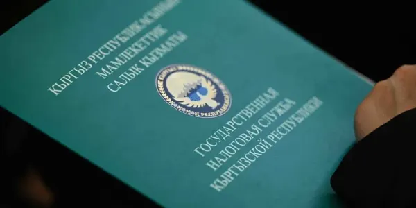 «Категорически не согласны»: ГНС ответила на аудит Счетной палаты изображение публикации