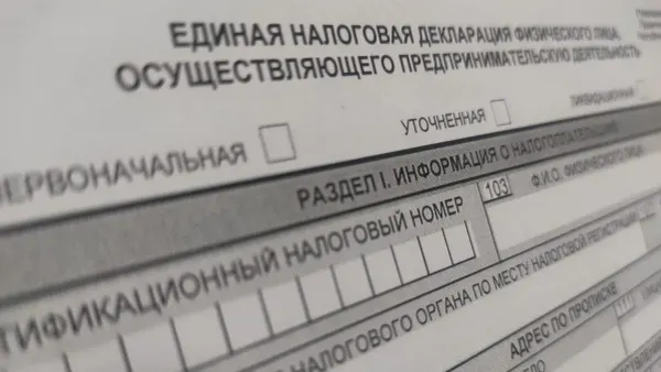 Единую налоговую декларацию в Кыргызстане представили почти 70 тысяч налогоплательщиков изображение публикации