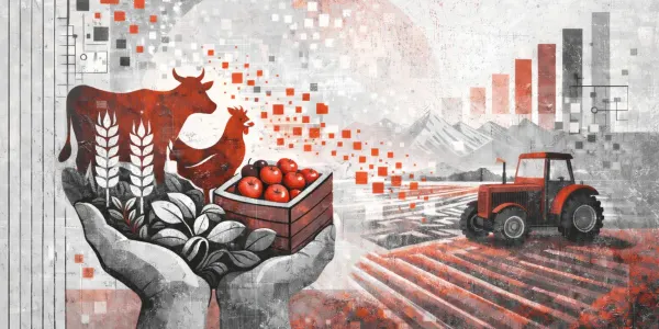 Агробизнес КР просит пересмотреть законопроект «О конкуренции» из-за угрозы системных рисков изображение публикации