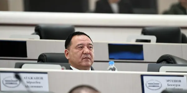 ЦИК проверит информацию о судимости депутата ЖК Бекмурзы Эргешова изображение публикации