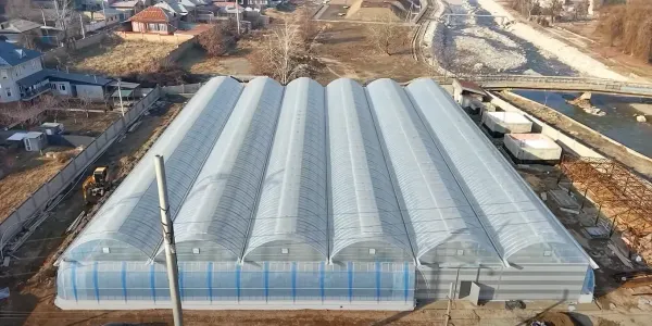 В Оше завершают строительство первой в стране «умной» теплицы площадью с футбольное поле изображение публикации