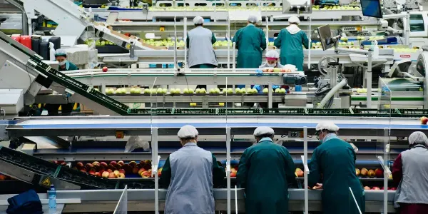 Перерабатывающая промышленность КР за 11 месяцев 2025 года достигла 94.23 млрд сомов изображение публикации