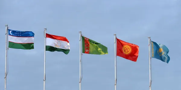 Страны Центральной Азии создадут региональную платформу для развития МСУ изображение публикации