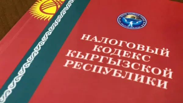 ЕНС, амнистия пеней, безналичная зарплата: в КР внесены изменения в сфере налогообложения изображение публикации