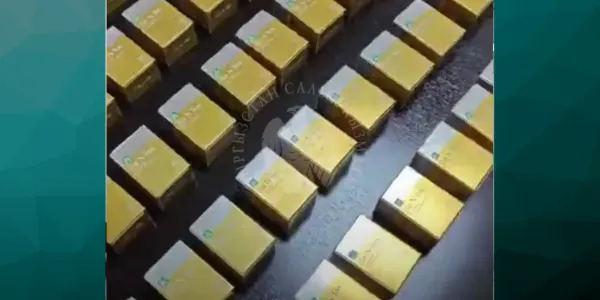 На КПП «Ак-Жол» задержана партия поддельных косметических препаратов изображение публикации