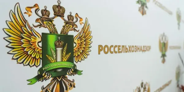 Россельхознадзор пресек вывоз почти 500 голов скота в КР, Таджикистан и Узбекистан.