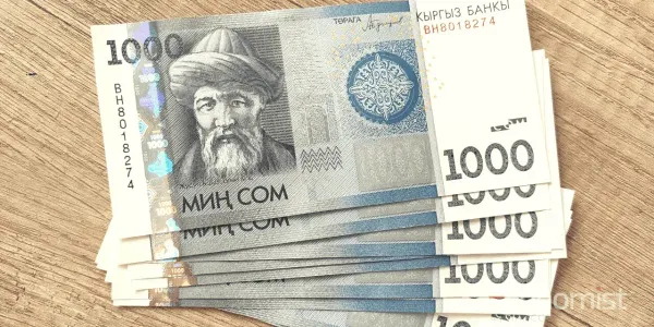 Свыше 11.8 тысячи предпринимателей КР получили беспроцентные кредиты на 9.4 млрд сомов изображение публикации