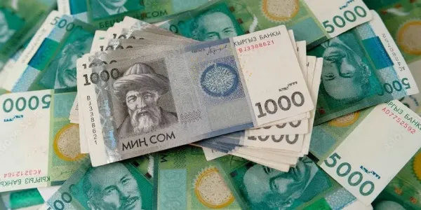 В КР введут преференции для компаний с высоким налоговым рейтингом изображение публикации