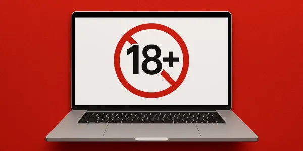 В Кыргызстане ввели штрафы за распространение порнографии в Интернете изображение публикации