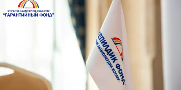 Турецким инвесторам пообещали гарантии за проекты в Кыргызстане изображение публикации