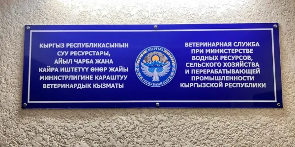 117 скотобоен, 43 рынка, 37 пунктов пропуска: Ветслужба подвела итоги работы за первое полугодие изображение публикации