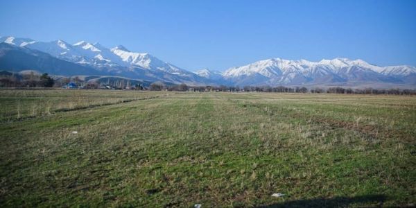 В Аламудунском районе 7.17 га лесфонда отдадут под логистический комплекс изображение публикации