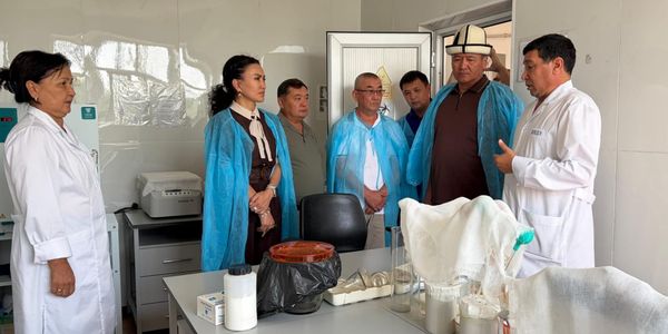 В Узгене рисовую шелуху начали использовать для производства кирпича изображение публикации