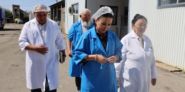 Минсельхоз рассматривает выделение дополнительных земель аграриям Иссык-Куля изображение публикации
