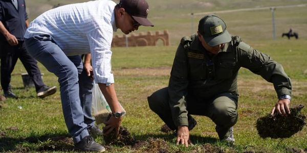 После Игр кочевников Кырчын начали восстанавливать: участки под юртами засеяли травами изображение публикации