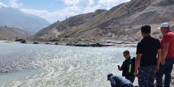 В реке Барскоон выявили массовую гибель рыбы — причину выясняют изображение публикации