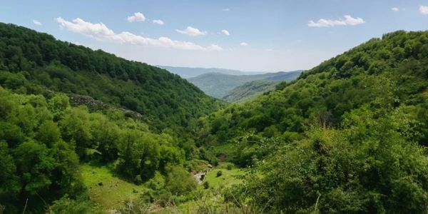 Площадь лесов Кыргызстана с 1993 года выросла на 506 тысяч гектаров изображение публикации