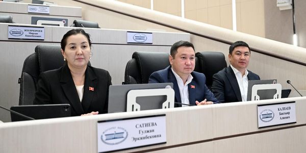 От села-анклава до школы в детсадах: проблемы регионов подняли в ЖК изображение публикации