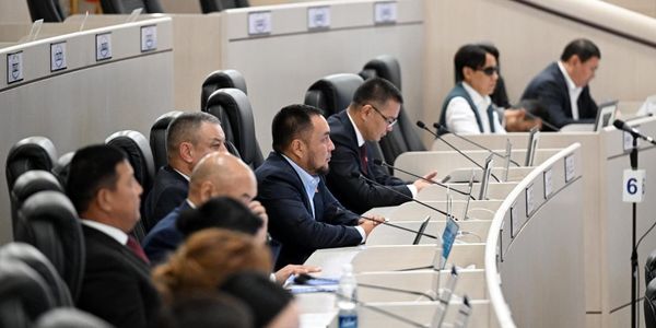 За незаконный оборот сырья в Кыргызстане предлагают ввести уголовное наказание изображение публикации