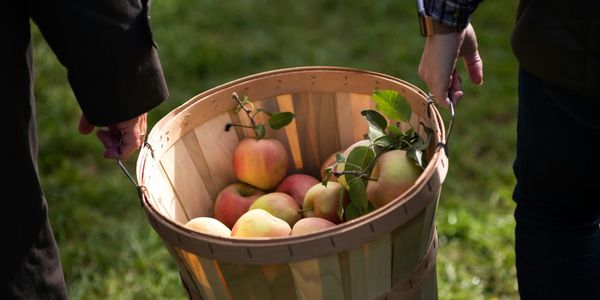 Фруктовый гамбит: как изменился продуктовый рынок Кыргызстана за семь лет изображение публикации