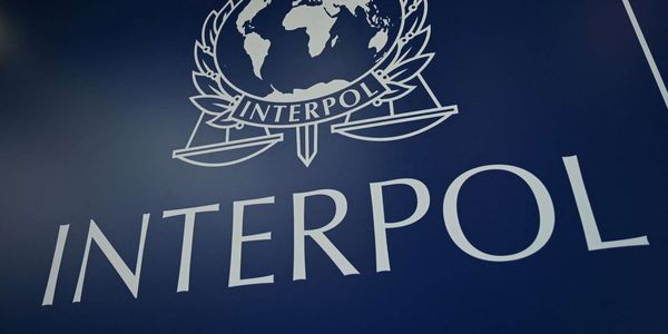 Кабмин утвердил штат бюро Интерпола в Кыргызстане из восьми человек изображение публикации