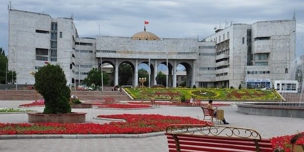 Кабмин установил штатный лимит Минсельхоза Кыргызстана в 6 351 единицу изображение публикации