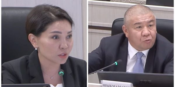 «Не путайте»: Эльвира Сурабалдиева потребовала от чиновников кабмина соблюдать этику в ЖК изображение публикации