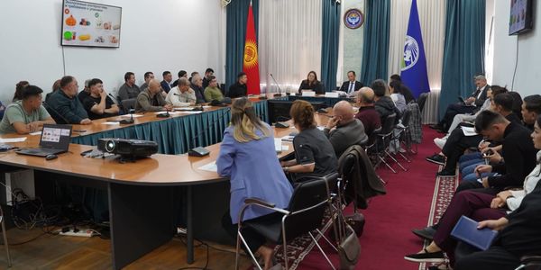 В Кыргызстане усилят контроль за маркировкой BIO на пластиковых пакетах изображение публикации