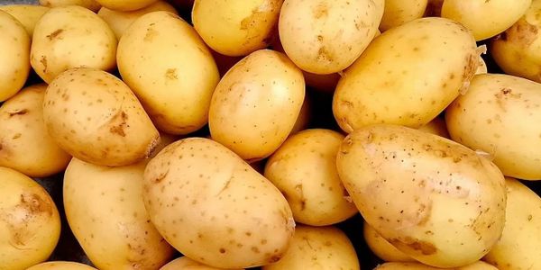 Картофель у фермеров стоит 15–17 сомов, на рынках Бишкека — до 60 сомов изображение публикации