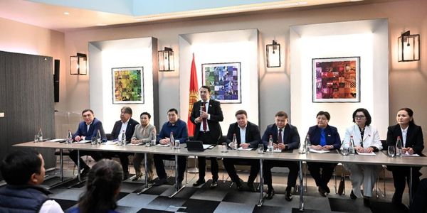 Кыргызстанцы во Франции попросили решить вопрос признания водительских удостоверений изображение публикации