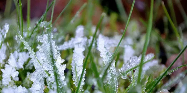 В Кыргызстане 23–25 октября ожидаются заморозки до −5 °C изображение публикации