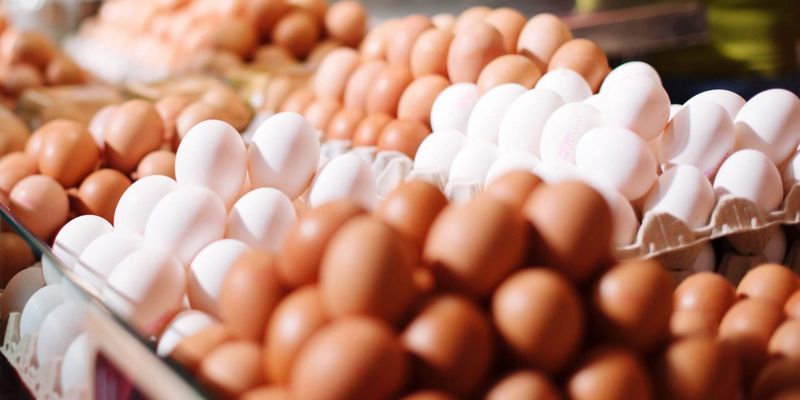 цены на продукты в Кыргызстане 2026, стоимость яиц Бишкек, инфляция, ЕАЭС, мониторинг, Минсельхоз