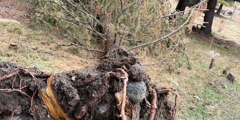 малая ГЭС Кемин штраф, экология Кыргызстана новости 2026, Служба экотехнадзора КР проверки, Минприроды КР ГЭС, строительство ГЭС нарушения, Economist.kg новости