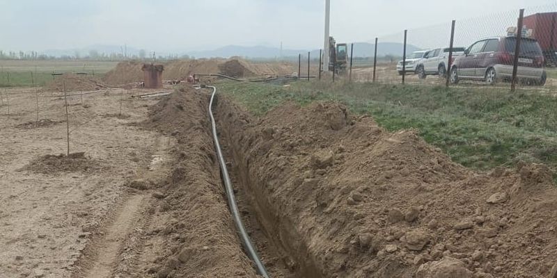 Предприниматель из Нооката вложит 34 млн сомов в 10 гектаров новых сортов яблонь изображение публикации