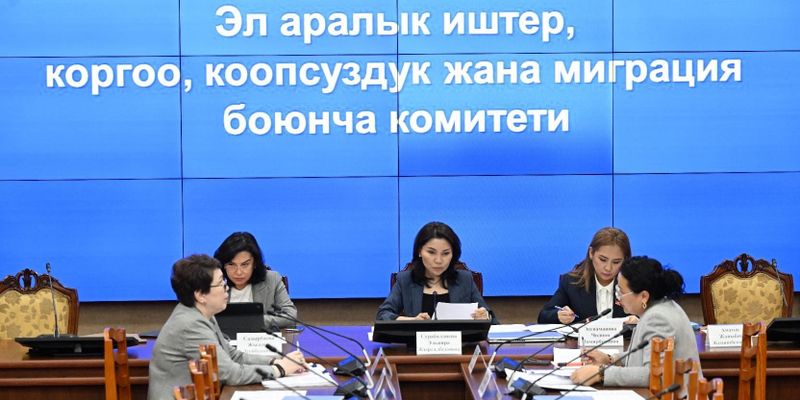 Комитет ЖК одобрил кредит ЕБРР на €61.7 млн для строительства ЛЭП «Кемин — Балыкчы» изображение публикации